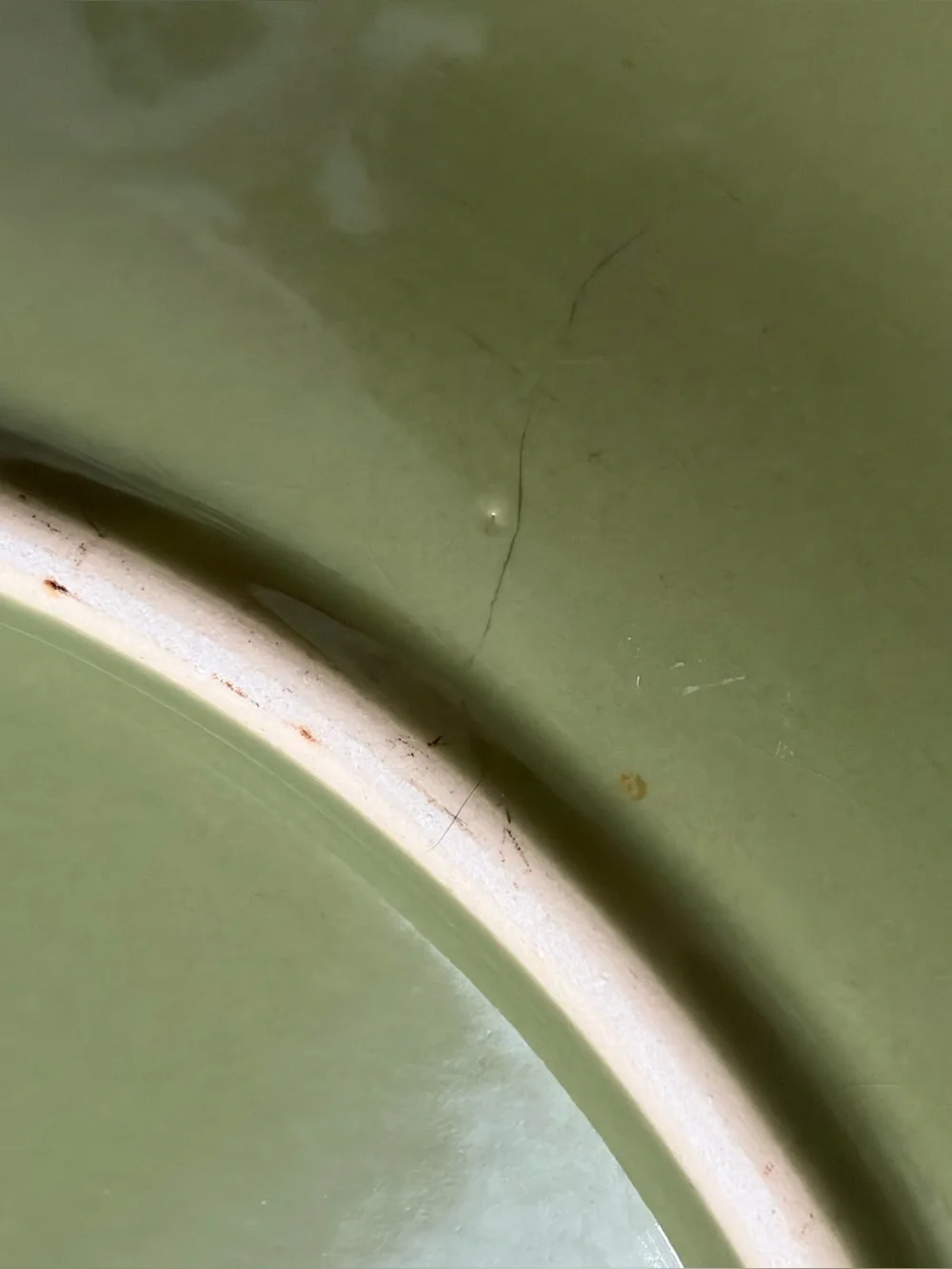 Signature Housewares Sorrento Dinner Plate Oregano Green 11.25” Rustic Farmhouse